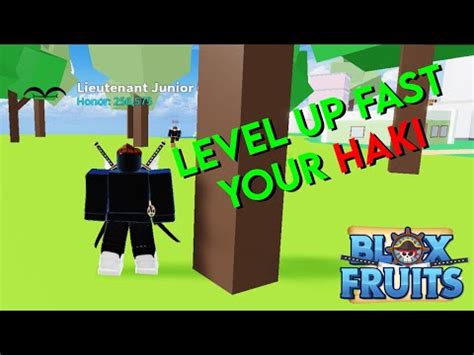 Just m1 at npcs for 6 hours. . How to level up buso haki blox fruits